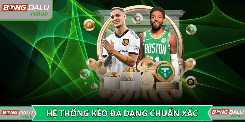 Các loại kèo chuẩn chỉnh tại Bongdalu