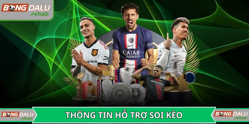 Thông tin hỗ trợ đắc lực cho người soi kèo